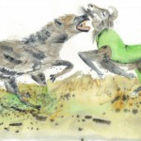 conte hyene combat